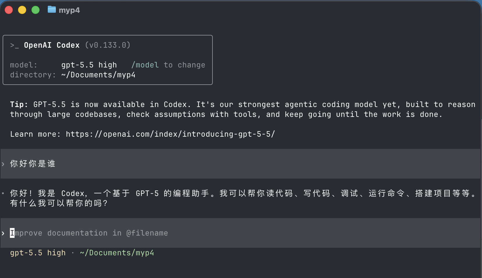 Codex CLI 测试成功